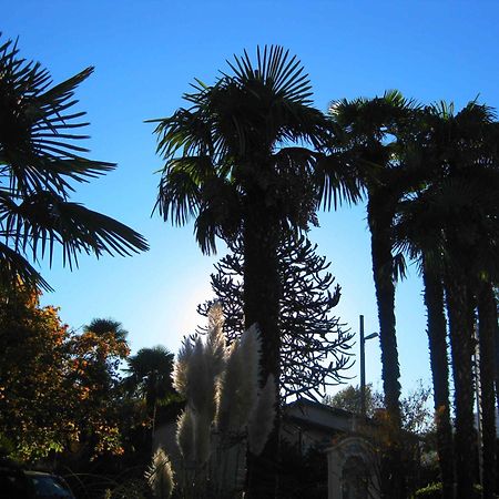 Villa Garni Gardenia Caslano Exterior photo